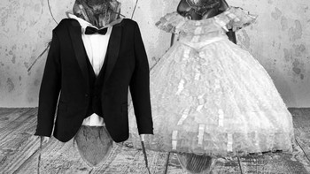 Vintage wedding pasangan kecoak. Foto: Instagram @cockroachdiaries