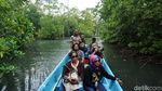 Serunya Menyusuri Hutan Bakau Rumadian Maluku Tenggara