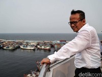 RI Punya Ikan Pesaing Salmon, Diekspor hingga ke Australia