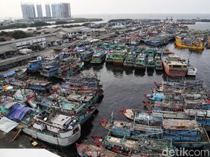 Siap-siap! Nelayan Bakal Dapat Rp 600 Ribu/Bulan