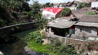 Sementara itu, koordinator KKN Universitas Janabadra, Rimbun (27) mengaku, ide tersebut muncul untuk memberi makna khusus bagi para pemuda dalam memperingati hari Sumpah Pemuda. Mengingat saat ini masih banyak generasi muda yang belum tahu makna Sumpah Pemuda.