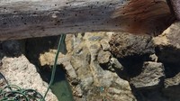 Mata air di sana hanya ada di tebing pantai itu. Sumber air itu berasal dari retakan yang ada di tebing dan ditampung ke sebuah kolam beton bikinan warga (i.dooney/Instagram)