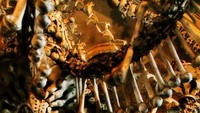 Sedlec Ossuary, demikian nama kapel yang terletak di Sedlec, Republik Ceko ini. Salah satu julukannya adalah Bone Church (iStock)