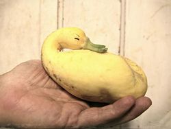 Kumpulan Foto Sayuran dan Buah Bentuknya Ajaib