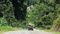 Jalanan di sana sangat parah dan perjalanan tak pernah mulus selama 5 jam hingga ke Anggi, pusat Kabupaten Pegunungan Arfak (Ahmad Masaul Khoiri/detikcom)