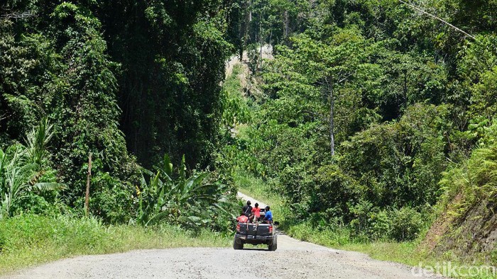 Jalan di Pegunungan Arfak