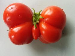 Kumpulan Foto Sayuran dan Buah Bentuknya Ajaib