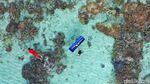 Pulau Setanau Surga Tersembunyi di Natuna
