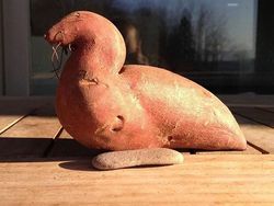 Kumpulan Foto Sayuran dan Buah Bentuknya Ajaib