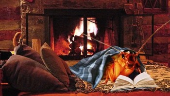 Bersantai baca buku sambil menghangatkan badan dekat perapian. Foto: Instagram @cockroachdiaries