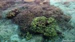 Pulau Setanau Surga Tersembunyi di Natuna