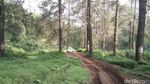 Potret Wisata Offroad ala Banyumas