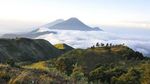 Sudah Gatal Ingin Mendaki? Bujuk Dulu dengan Foto Indahnya Gunung Prau