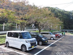 Cara Pencinta Daihatsu Jepang Lestarikan Budaya Lokal