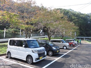 Cara Pencinta Daihatsu Jepang Lestarikan Budaya Lokal