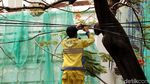 Kabel Semrawut di Salemba Mulai Ditertibkan