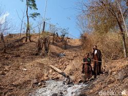 Hore! Akhirnya Pelosok NTT Berlimpah Sinyal