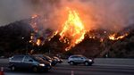 Ganasnya Kebakaran Hutan Los Angeles yang Hanguskan Rumah-rumah Mewah
