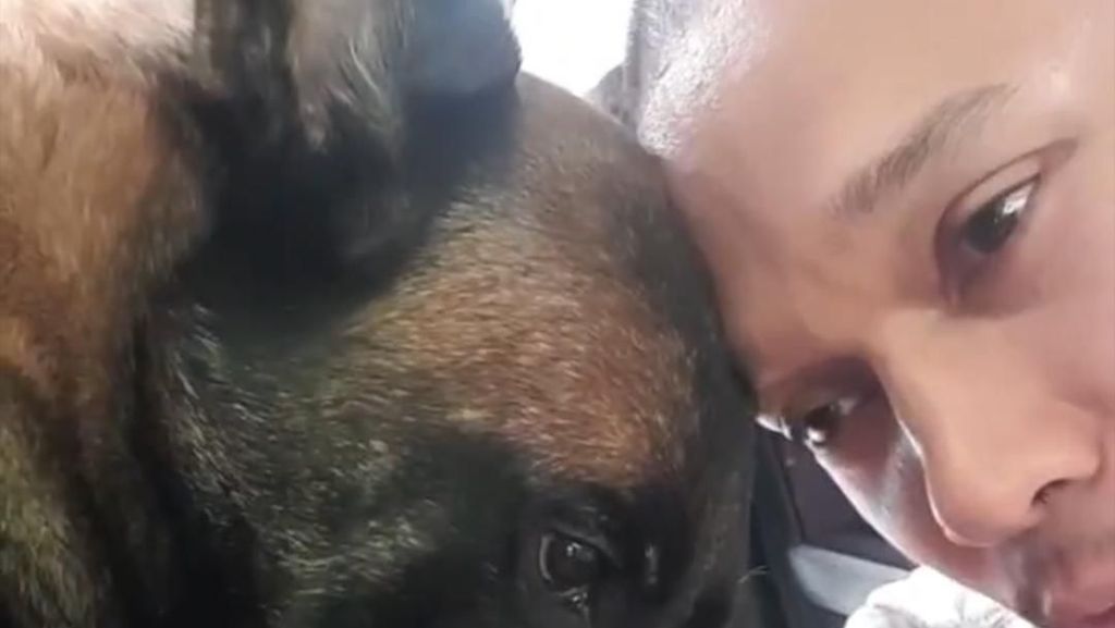 Sesenggukan Bima Aryo Melihat Kematian Anjing Sparta Sesenggukan Bima Aryo Melihat Kematian Anjing Sparta