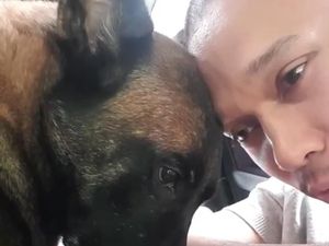 Sesenggukan Bima Aryo Melihat Kematian Anjing Sparta