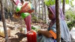 Potret Warga Gunungkidul Cari Air Bersih dari Bocoran Pipa