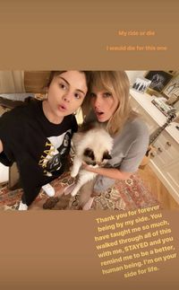 Instastory Selena Gomez.