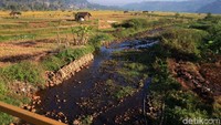 Di bawah jembatan ini terdapat Sungai Cihonje.