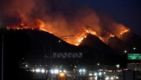 Sejumlah selebriti AS yang tinggal di kawasan terdampak kebakaran hutan terpaksa mengungsi pada tengah malam. Foto: REUTERS/Gene Blevins