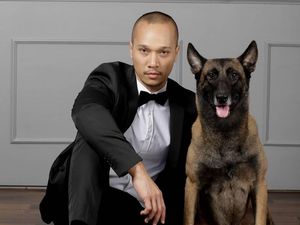 Cerita di Balik Kematian Sparta, Anjing Milik Bima Aryo