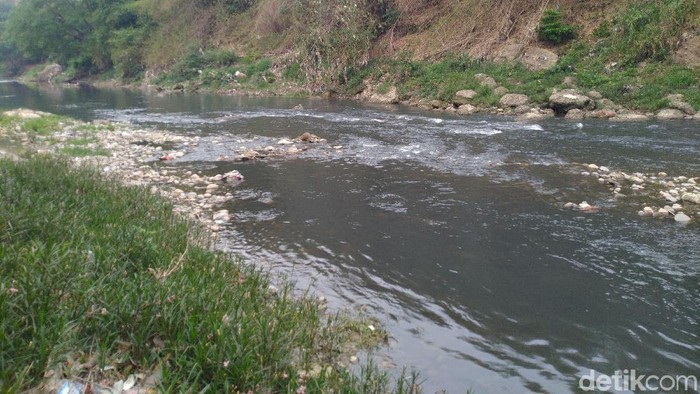 Sungai Cileungsi Tercemar Dlh Bogor Tutup Saluran Limbah Di 14 Perusahaan