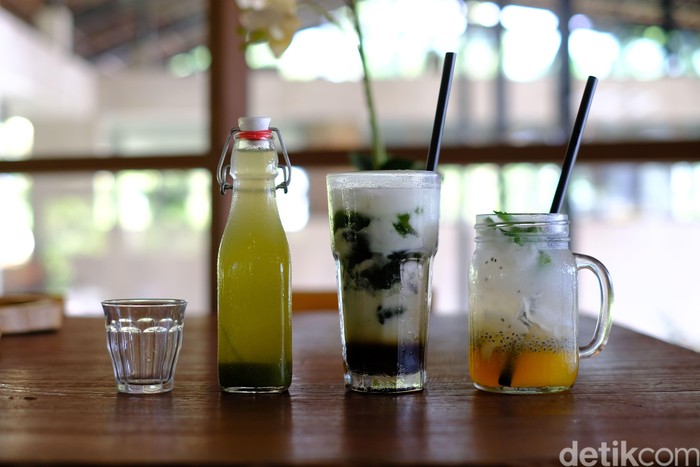 bebek timbungan bali bebek timbungan bali