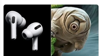 Ini sedikit epik, AirPods Pro mirip Tardigrades Foto: Twitter