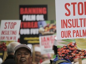 Perang Dagang Malaysia dan India Berimbas pada Sawit