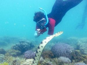 Foto: Aksi 7 Nenek Lacak Ular Mematikan