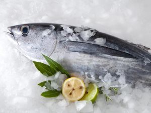 Temukan Jejak Corona, China Tangguhkan Impor Ikan dari Perusahaan Indonesia