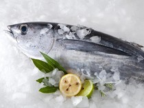 4 Tips Menyimpan Ikan di Kulkas Supaya Tak Cepat Busuk