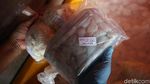 Geliat Usaha Pengolahan Kepiting Rajungan di Natuna