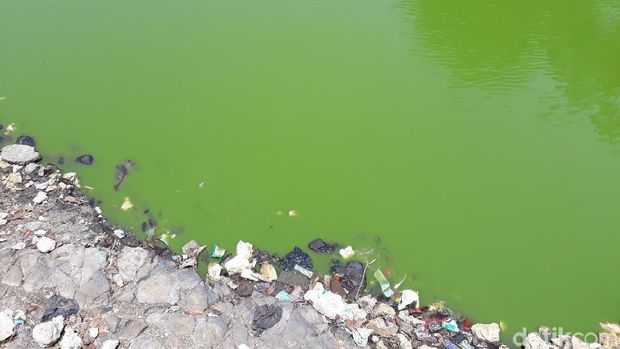 Kemarau, Warga Terpaksa Pakai Air Telaga Meski Bikin Gatal dan Bau