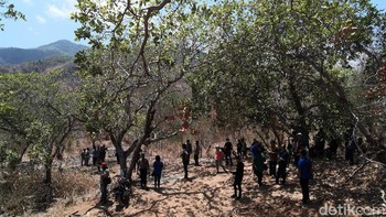 Desa yang berada di pelosok, berbukit dan dekat laut, akhirnya menikmati sinyal seutuhnya. (Fino Yurio Kristo/detikcom)