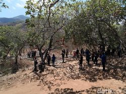 Hore! Akhirnya Pelosok NTT Berlimpah Sinyal