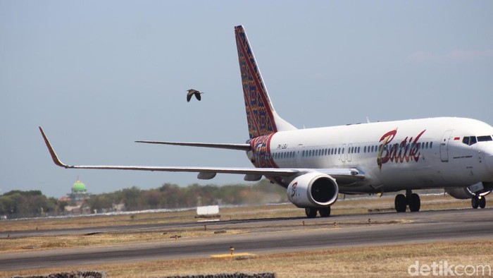 Ini yang Dilakukan Bandara Juanda Cegah Bird Strike