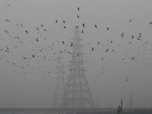 India Hadapi Polusi Udara Terparah