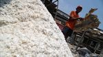 Warga Muara Angke Tolak Penggusuran