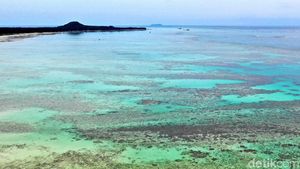 Pesona Pantai Sinimpak Mutiara dari Natuna