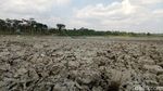 Potret Waduk Mrica Banjarnegara Mengering Akibat Kemarau