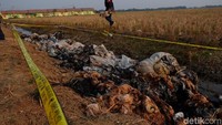 Menurutnya, penyelidikan awal saat ini untuk mengungkap asal limbah beracun.