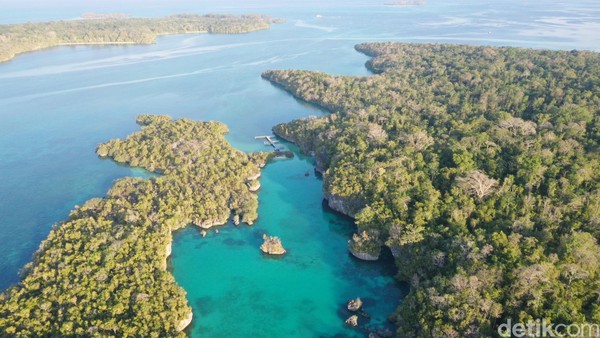 Di balik pohon-pohon rindang itu ada sebuah pantai yang diapit tebing karang di sekelilingnya. Mirip kolam renang karena airnya yang bening dan tenang bisa untuk snorkeling (Foto: Didik Dwi Haryanto/detikcom)