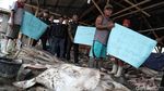 Warga Muara Angke Tolak Penggusuran
