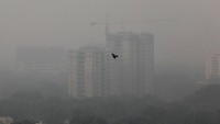 Sejak perayaan Dilwali pada Minggu (27/10), puluhan ribu orang memasang petasan dan meninggalkan asap. Tak hanya itu, emisi dari mobil dan truk serta kebakaran lahan pertanian di sekitar Delhi menjadikannya ibukota paling tercemar di dunia. REUTERS/Anushree Fadnavis.