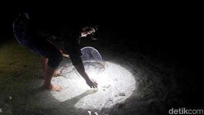Melihat Aktivitas Warga Natuna Berburu Ikan di Malam Hari